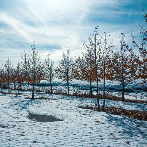 حاجی نسخیمون زده بالا همین پایین نیومده حوصلمون سر رفته